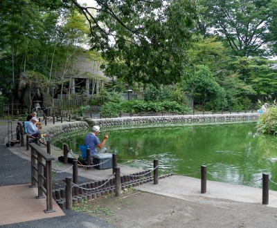 Parc Akatsukatameike à Narimasu (Tokyo)