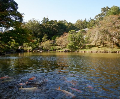 Parc du Narita-san, plan d'eau avec carpes koi et jardin japonais