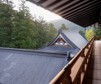 Eihei-ji (Fukui), Vue sur les toits du temple et la forêt