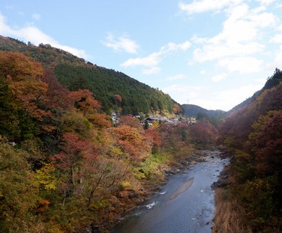 Vallée de Hatonosu en automne (Okutama)