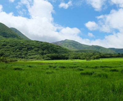 Marais de Tadewara, parc national Aso Kuju (Oita)