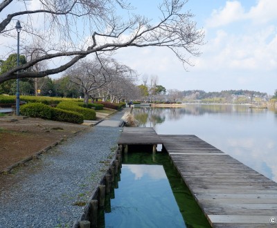 Parc et lac Senba à Mito (Ibaraki)