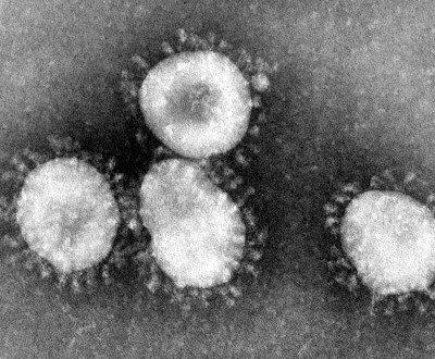 Coronavirus