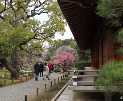 Sanctuaire Jonan-gu (sud de Kyoto)