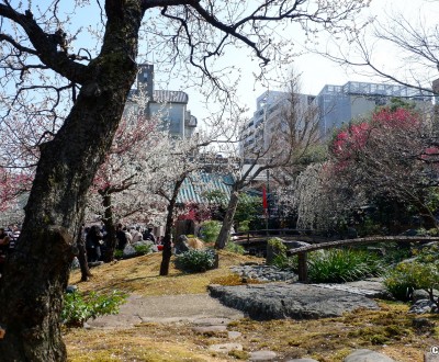 Yushima Tenman-gu, Jardin japonais