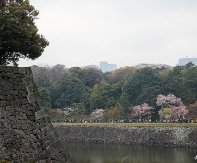 Vue sur l'allée Inui-dori au printemps