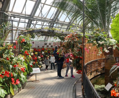 Serre tropicale du Jardin botanique de Kyoto