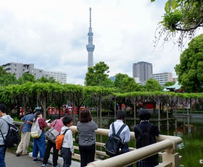 Vue sur Tokyo SkyTree depuis le sanctuaire Kameido Tenjin