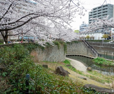 Parc Otonashi Sakura Ryokuchi (Otonashi Sakura Green Park) au bord de la rivière Shakuji-gawa à Tokyo