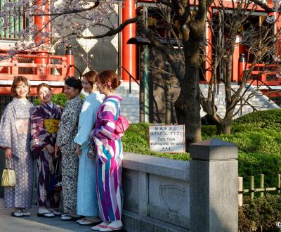 Kimono Yukata 15