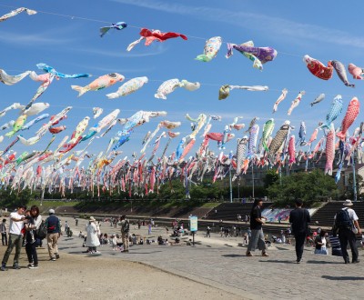 Takatsuki (Osaka), cerf-volants koi nobori au-dessus de la rivière Akuta au parc Akutagawa Sakurazutsumi