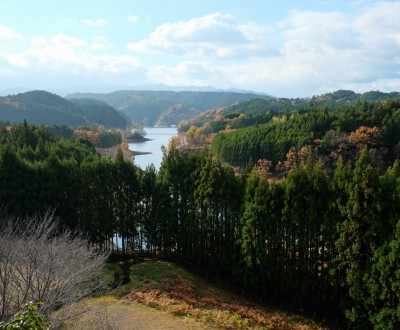 Thérapie en forêt de Yoshino, point de vue sur le lac Tsuburo