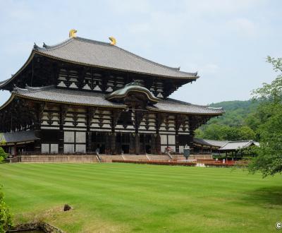 Todai-ji (Nara), pavillon Daibutsu-den du temple en juin 2020