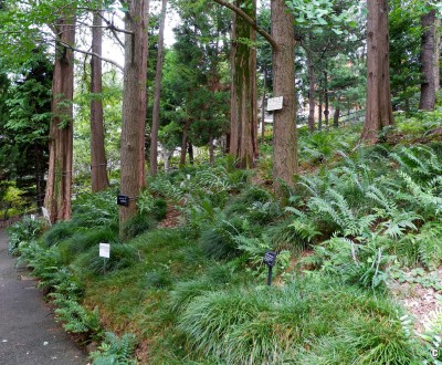 Jardin botanique Akatsuka (Narimasu, Tokyo)