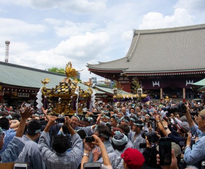 Sanja Matsuri, parade de mikoshi au Senso-ji