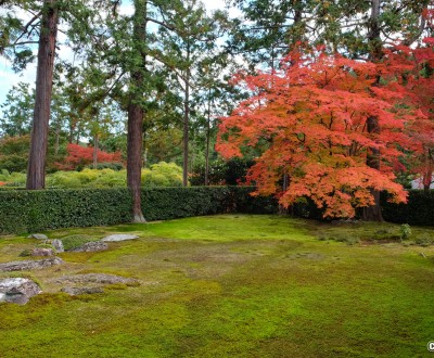 Entsu-ji (Kyoto), vue sur le jardin sec en automne