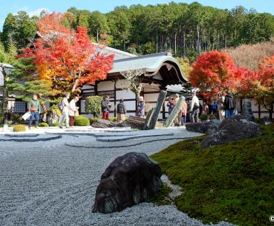 Enko-ji, vue sur le jardin Honryutei
