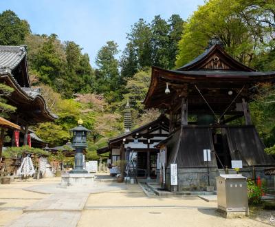Oka-dera (Asuka), enceinte du temple au printemps et tour de la cloche Shoro-do
