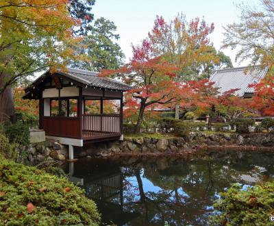 Shinnyo-do (Shinshogokuraku-ji), étang et feuillage automnal