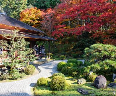 Manshu-in (Kyoto), vue sur Koshoin et le jardin en automne