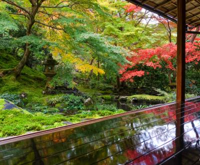 Ruriko-in, jardin Garyo-no-niwa en automne
