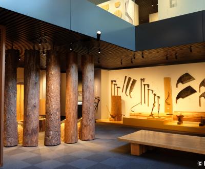 Musée des outils de charpentier de Takenaka, exposition d'essences de bois et de scies japonaises