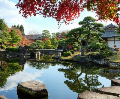 Koko-en, jardin de la résidence du seigneur, plan d'eau et érables rouges en novembre