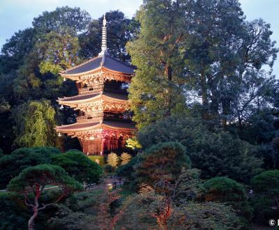 Chinzan-so Teien (Tokyo), pagode à 3 étages à la nuit tombée