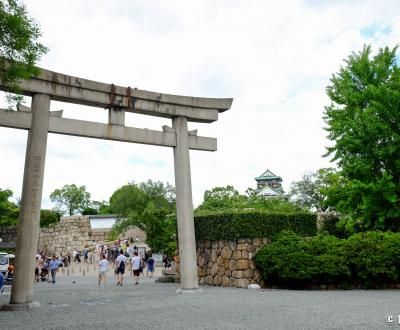 Hokoku-jinja (Osaka), porte torii à l'entrée du sanctuaire