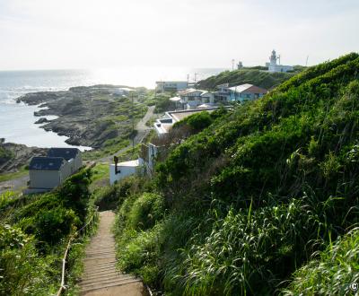 Jogashima (Miura), côte rocheuse au sud-ouest de l'île