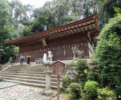 Ujigami-jinja, pavillon principal Honden du sanctuaire