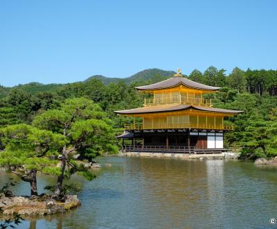 Kinkaku-ji (Kyoto), vue sur le Pavillon d'Or en octobre 2021 (après rénovation de son toit doré)