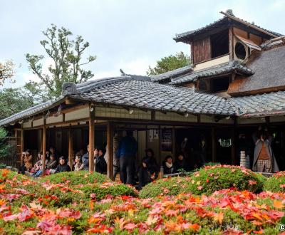 Shisen-do (Kyoto), vue sur les massifs d'azalées en automne et les visiteurs dans la villa