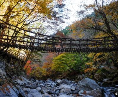 Vallée d'Iya (Shikoku), Pont suspendu Kazurabashi en automne