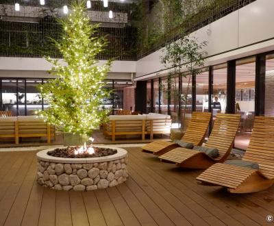Good Nature Hotel (Kyoto), patio avec espace vert et relaxation