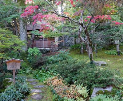 Gyokusen-en (Kanazawa), vue sur le jardin japonais à l'automne