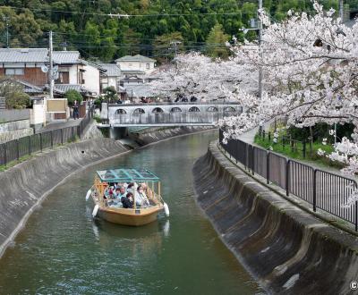 Canal Yamashina du Lac Biwa (Kyoto), croisière sur le canal et pont Anshu-bashi au printemps
