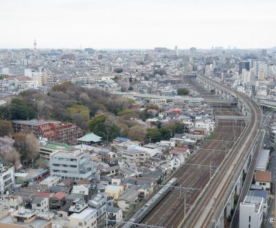 Hokutopia (Tokyo), vue sur le quartier d'Oji