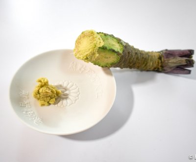 Racine et pâte verte de véritable Wasabi japonais