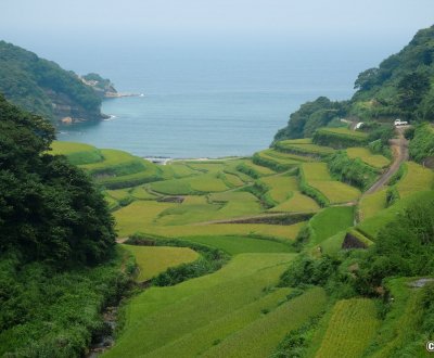Karatsu (Saga, Kyushu), rizières en terrasses Hamanoura en été