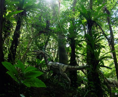 Dino Park (Nago, Okinawa), maquettes de dinosaure dans la forêt de Yanbaru