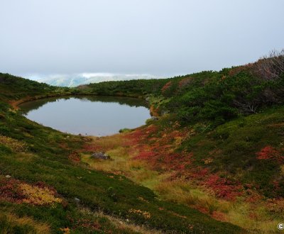 Daisetsuzan (Hokkaido), vue sur le marais de Mangetsu à l'automne