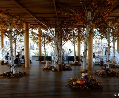 Hiroshima Orizuru Tower, terrasse d'observation décorée à l'automne