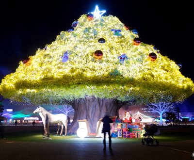 Tokyo Mega Illumination (Shinagawa), arbre géant illuminé de la forêt Aurora