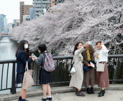 Nakameguro (Tokyo), Japonaises avec et sans masque pendant la floraison des cerisiers