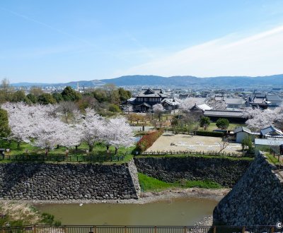 Château de Koriyama (Nara), vue panoramique depuis la plateforme d'observation de la base du donjon