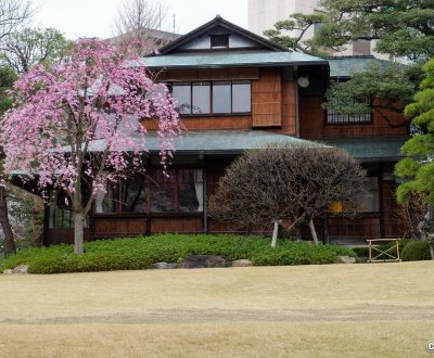 Happo-en (Tokyo), cerisiers en fleurs et architecture traditionnelle du restaurant Kochuan