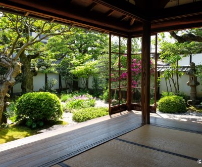 Musée Mémorial Lafcadio Hearn (Matsue), vue sur le jardin japonais au printemps depuis la résidence de samourai