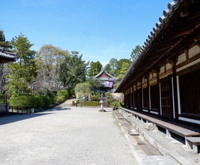 Toshodai-ji (Nara), vue sur le pavillon Kaizando dédié au fondateur du temple Ganjin