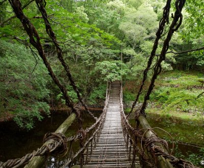 Shikoku Mura (Takamatsu), Pont de liane Kazurabashi